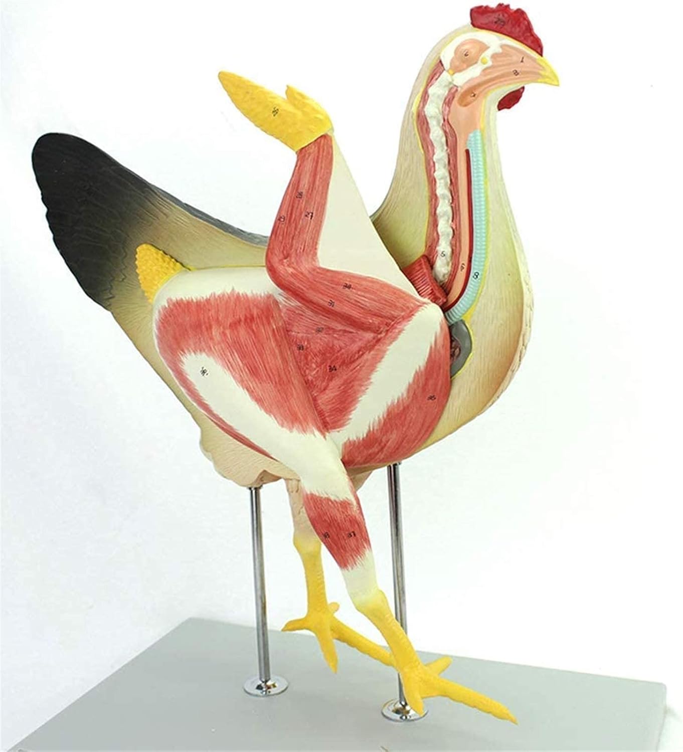 中国美術 大明宣徳年製 黄釉皿 直径18.8㎝ 共箱 タトオ 東さ7-0630①